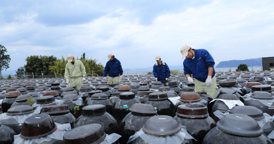 Kurozu : Le Vinaigre Noir de Riz Japonais d'Exception