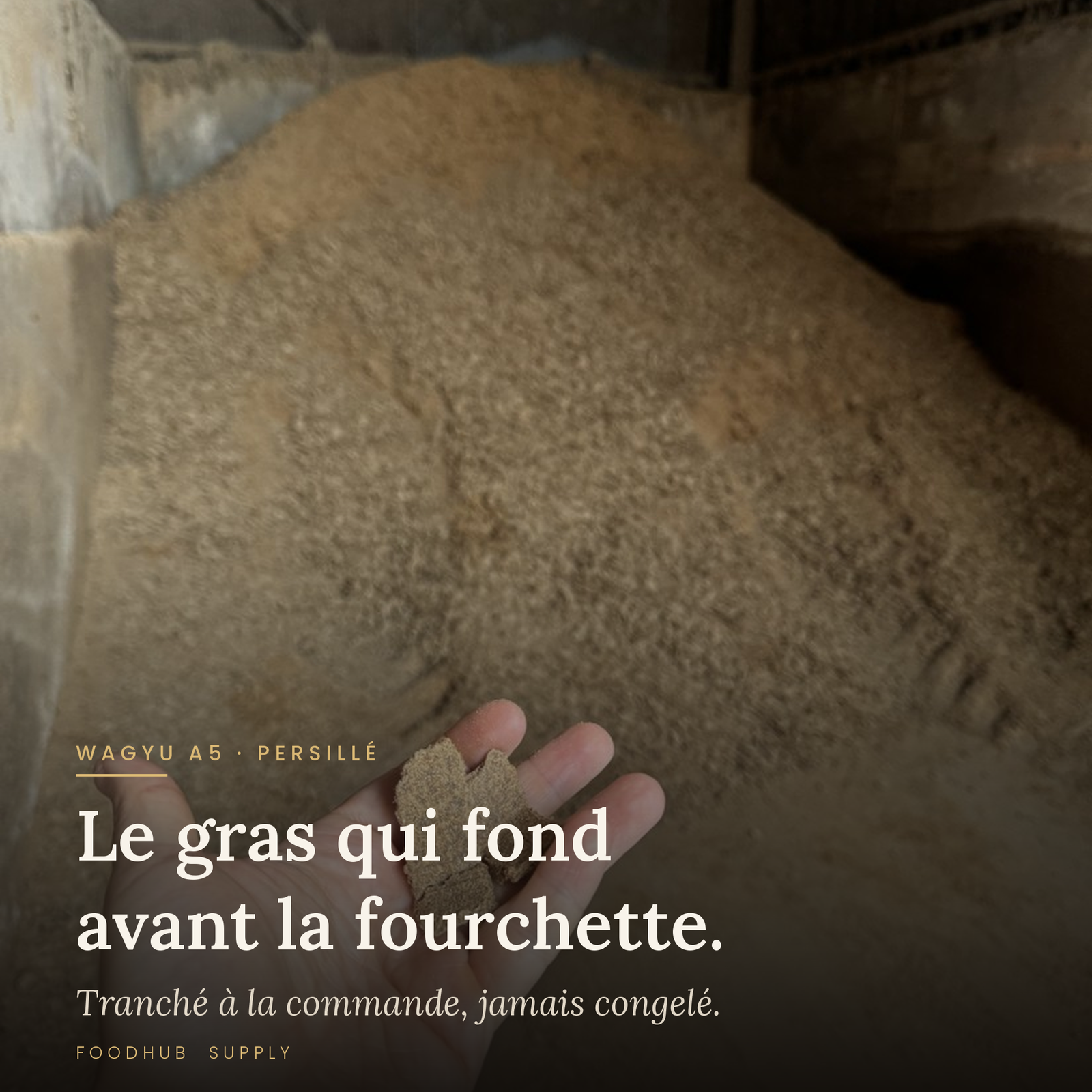 Acheter du Wagyu A5 authentique en France : guide 2026