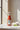 Tomato Ketchup bouteille 30cl 342g