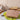 Terrine forestière champignons sylvestre 1,4kg – sélection FOODHUB