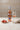 Rozy 20e anniversaire | Le vin rosé bord de mer IGP 2022 75cl