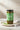 Salicorne française de culture au naturel bocal 750g