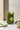 Pistache émondée extra verte Grade B sac 1kg