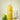 Jus pomme citron menthe pressé 70cl