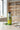 Huile d'olive vierge extra BIO 50cl