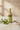 Huile d'olive vierge extra Novello Frutto d'Autunno bouteille 50cl + aluminium