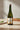 Cidre doux pur jus artisanal Cuvée Signature Bayeux IGP 75cl