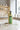 Gaspacho avocat petits pois et citron 50cl - sélection FOODHUB