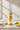 Coulis sucré de mangue Alphonso et Totapuri squeeze 500g - sélection FOODHUB