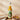 Hot sauce Amazônia piment Scorpion équatorien fruit de la passion force 5/12 100g – sélection FOODHUB