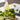 Pulco citron vert 70cl