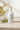 Huile d'Olive Koroneiki BIO Kalios Selection Juan Arbelaez | 50 cl - Photo 1 | FOOD HUB