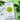 Huile d'Olive Infusee au Basilic Frais Kalios | 250 ml - Photo 2 | FOODHUB