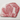 Entrecôte ribeye de bœuf Wagyu Saroma A5 Hokkaidō, coupe transversale montrant le persillage BMS 8-12