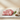Entrecôte ribeye de bœuf Wagyu Saroma A5 Hokkaidō, coupe transversale montrant le persillage BMS 8-12