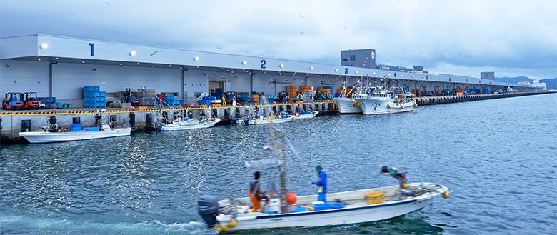 Port Ishinomaki Japon