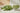 Tisane Feuille de Goyave Japonais (Biologique) - FOODHUB